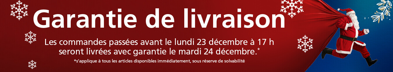 Garantie de livraison jusqu’à Noël